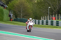 Advanced Group White Bikes